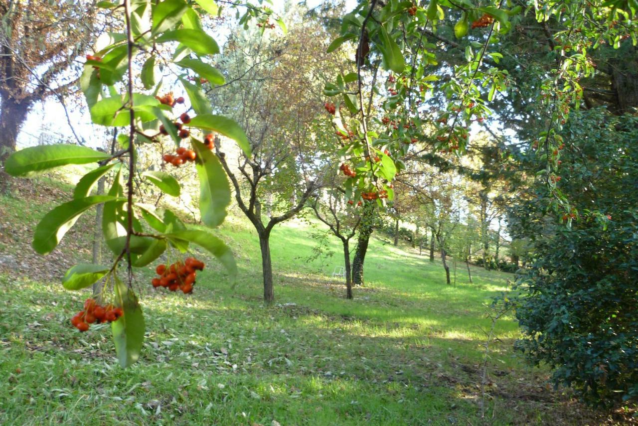 B&B Colle Di Terria Country House Contigliano Ngoại thất bức ảnh