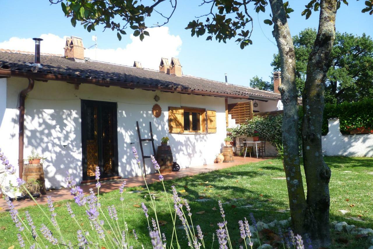 B&B Colle Di Terria Country House Contigliano Ngoại thất bức ảnh